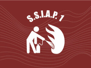 ssiap1.jpg