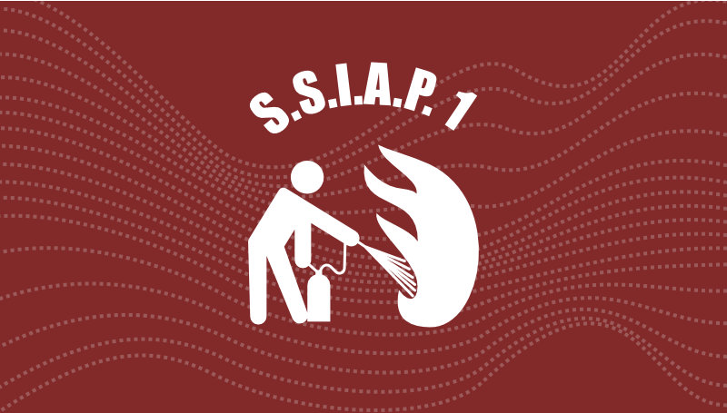 ssiap1.jpg