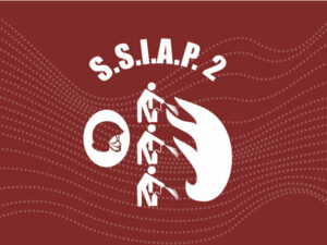 ssiap2.jpg