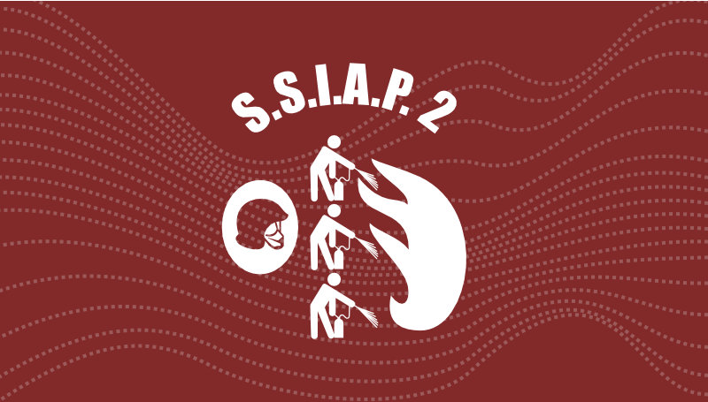 ssiap2.jpg