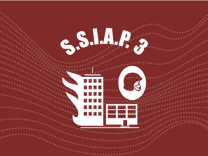 ssiap3.jpg